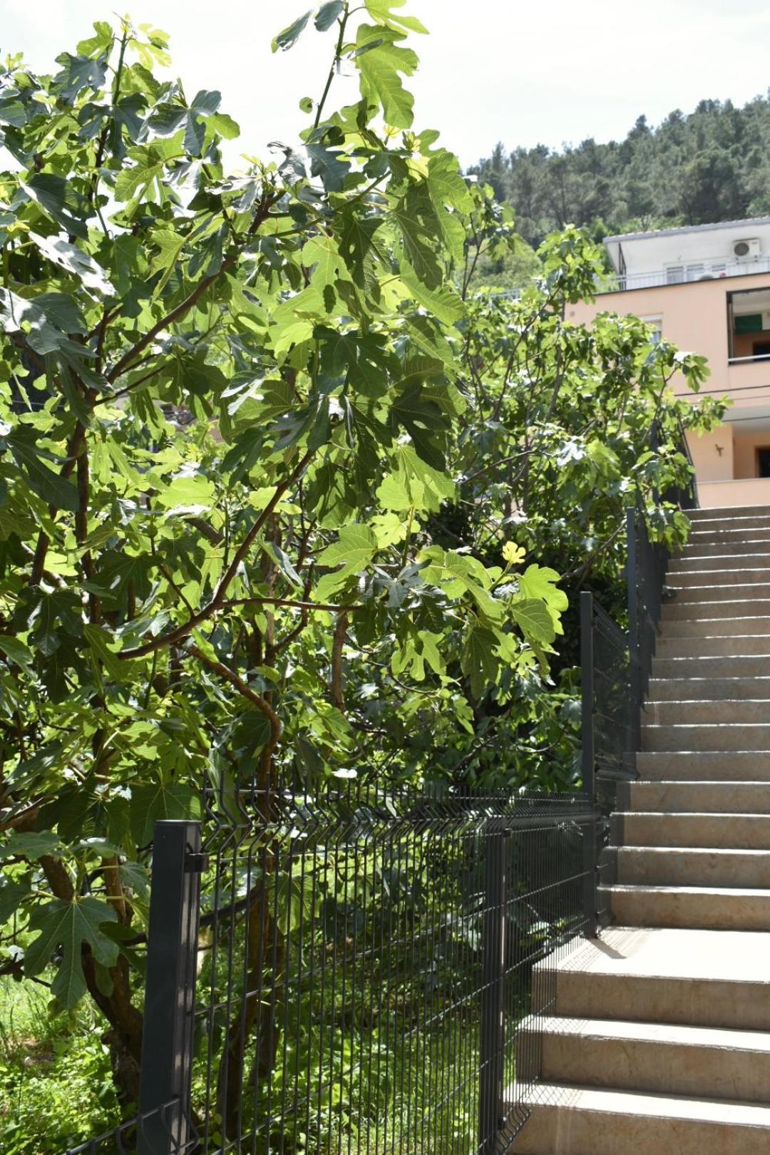 Bel Apartment Mostar Ngoại thất bức ảnh